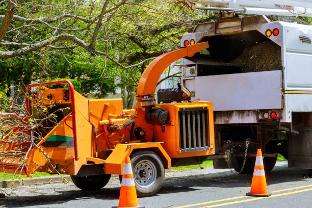 Reliable Nottingham, PA Tree Removal and Landscaping Services Solutions